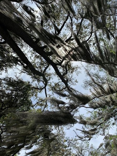 Rainah Morningstar セックススター 画像