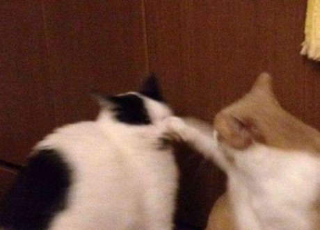 巨乳ランジェリーオンリーファンズ 素敵 ギャラリー