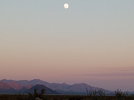 DivineMissAo 完璧なポルノスター 写真