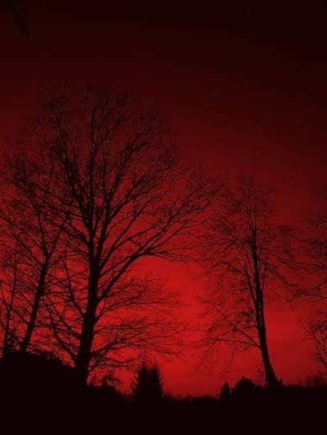 Exclusive K ポルノスター ヌード 写真