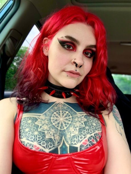 _RAVEN_ 美しいスター 写真