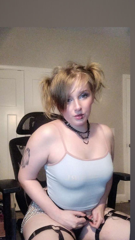 Rhyn 高品質のスター 写真