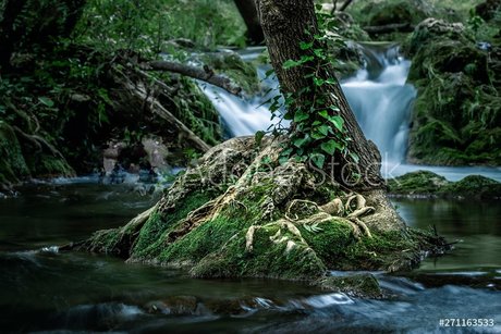 RedRhino ホット女優 写真