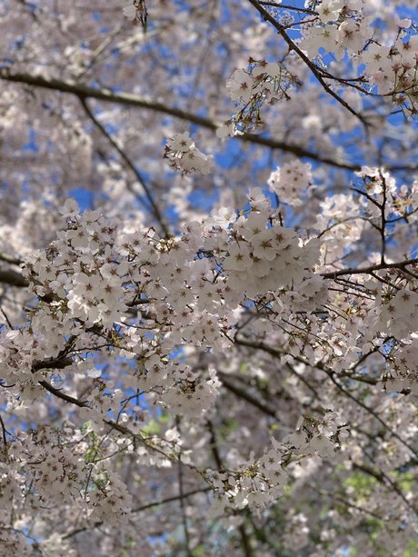 Queen feet ポルノモデル 画像