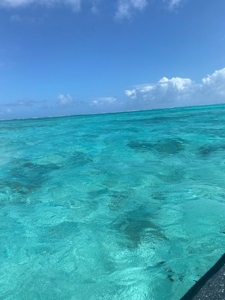 AndreaR セクシーなスター 写真