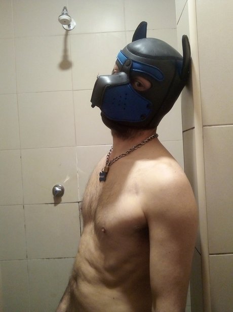 pup Regaleiro かわいいモデル 写真