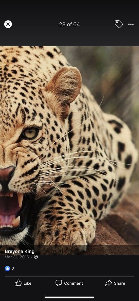 Life with RedRose ヌードモデル 写真