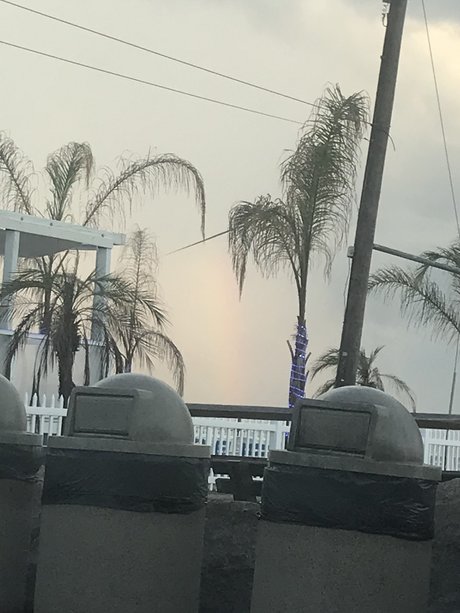 RedneckBeauty23 セックスポルノスター 写真