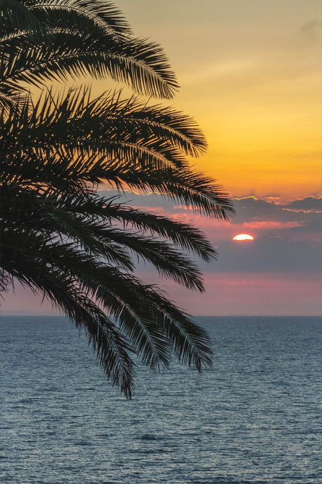 Princess Rea セクシーモデル 写真