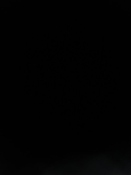 Rone xxxポルノスター 写真