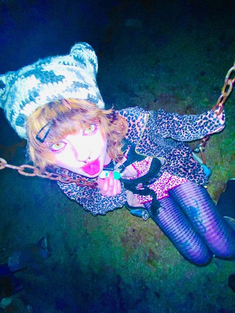 _bunni_ 素敵なスター 写真