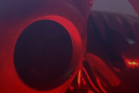 Rubber Lover SAM_ ポルノ女優 ギャラリー