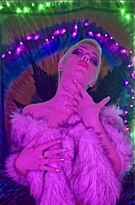 Roxxy Ace ホット女優 ギャラリー