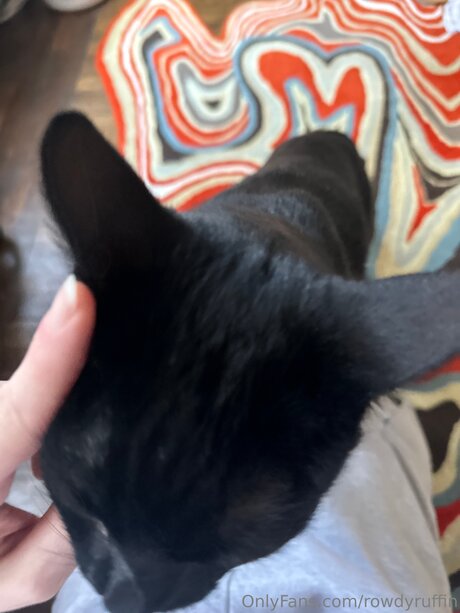 ぽっちゃりブロンドのオンリーファンズ ヌード ギャラリー