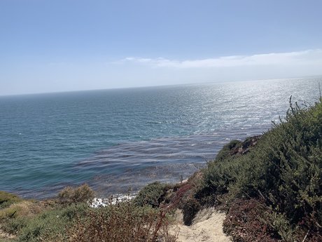 Ian Rios セックスモデル アーカイブ