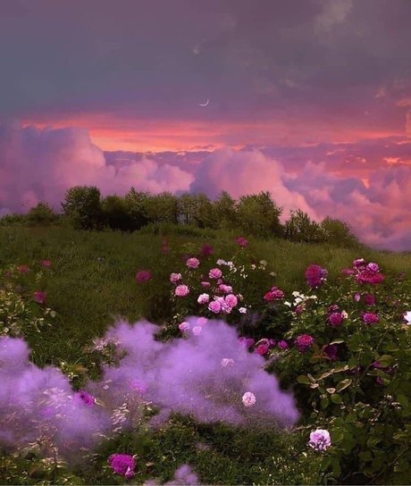 rosie booty ヌードモデル 写真