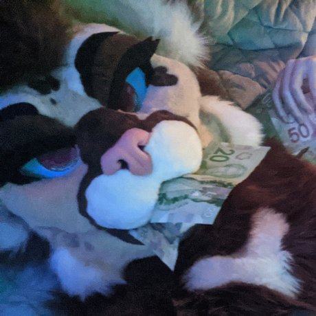 RoseironAD xxxスター 写真