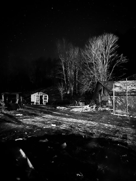 小さなおっぱいオンリーファンズ 美しい 写真