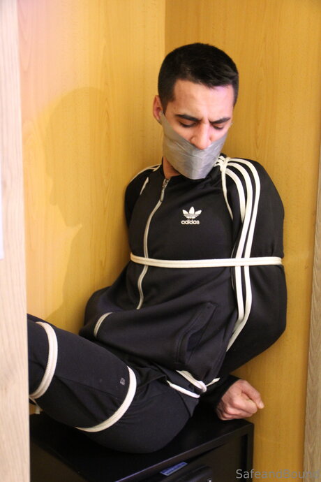 Safe and Bound 美しいスター アーカイブ