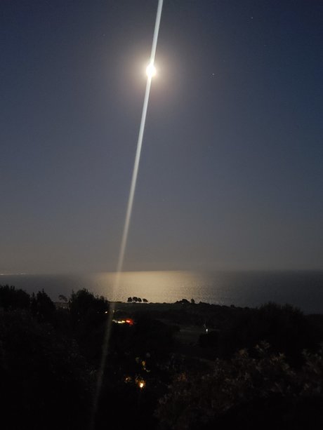 R S 932 ヌードモデル 写真