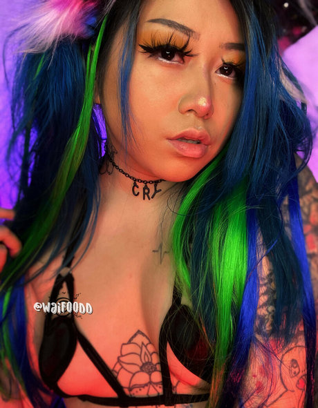 waifoodd HDモデル 画像