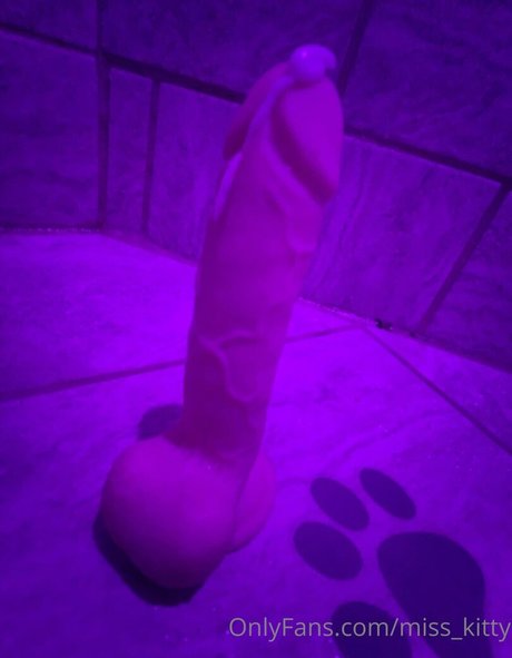 miss kitty スターセックス ギャラリー