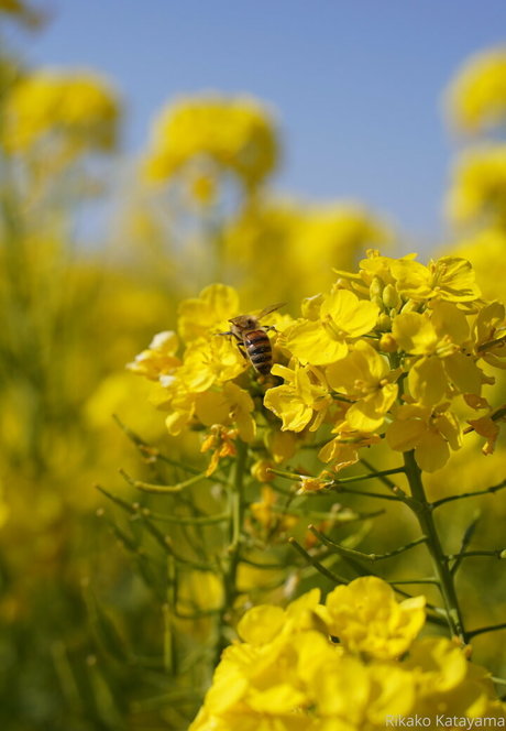 ボディビルダーヌードオンリーファンズ パーフェクト 写真