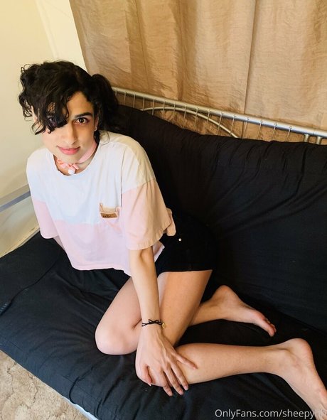 SheepIRL 素敵なスター アーカイブ