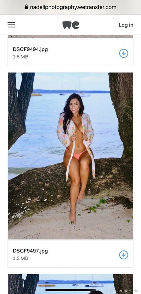 missamberfields 美しいスター 写真