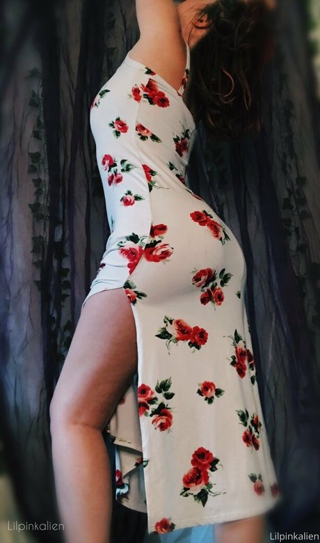 lilpinkalien ホットモデル 画像