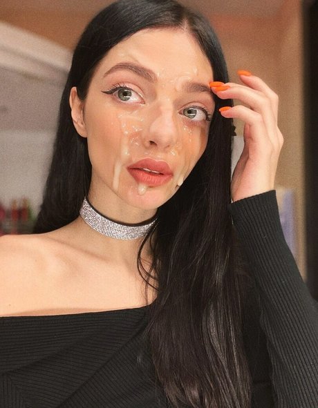 by owl 素敵なスター 写真