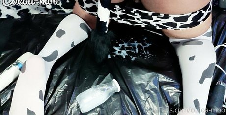 教室オンリーファン パーフェクト 写真