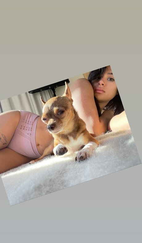 Diane Guerrero ヌードモデル 画像