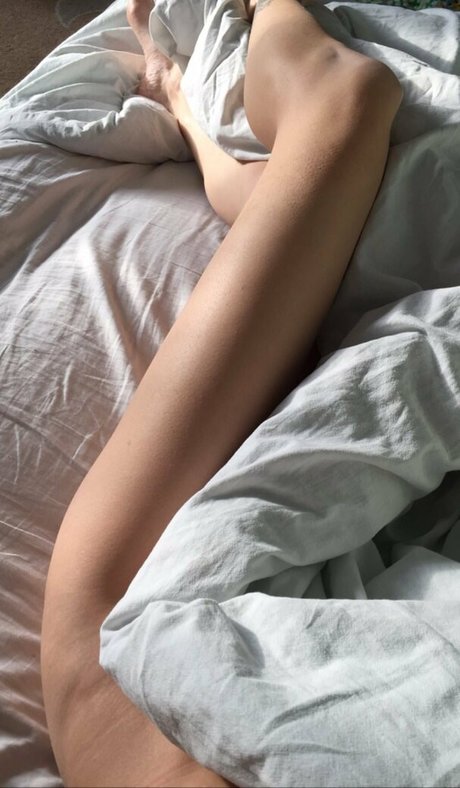 ダウンオンリーファン パーフェクト 画像