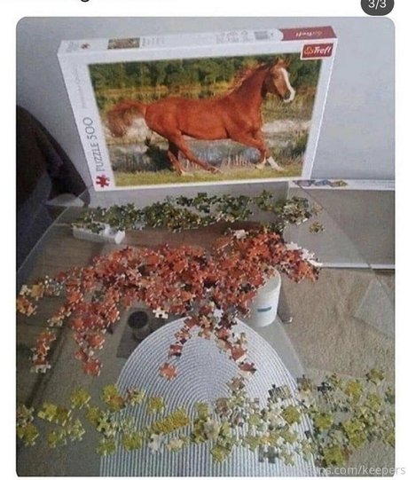 プッシーフィートオンリーファンズ 無料アダルト 写真