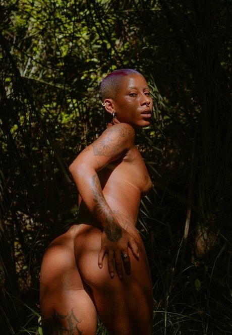 opaicriis 高品質女優 写真