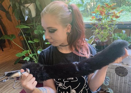 knottyfay セクシーなポルノスター 写真