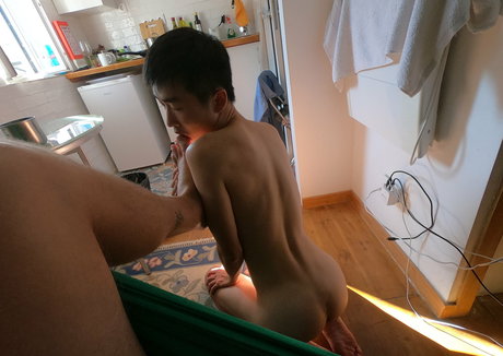 stallion bunny ポルノ女優 画像