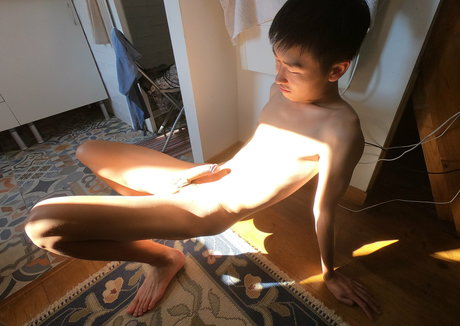 stallion bunny ポルノスター 写真