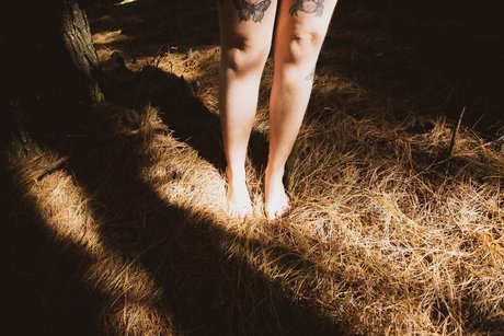 Satan s Raccoon アートスター 画像