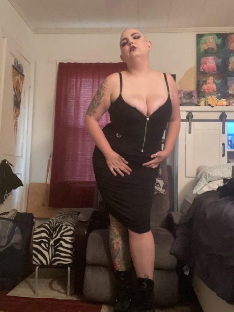 Sassy Jackin HDモデル 写真