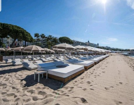 Sarah Bell_ ポルノスター 画像