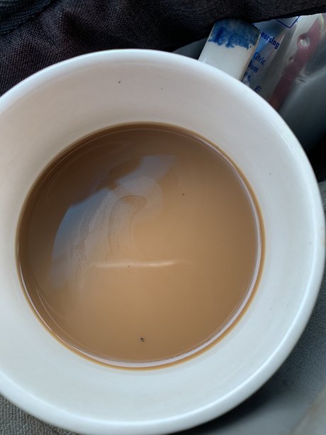 Tガールオンリーファン ホットヌード 画像