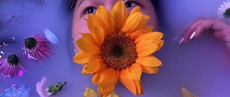 Alona Bloom ポルノスター アダルト 写真