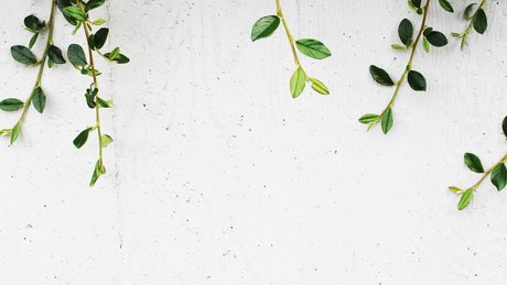 xGetDead 高品質モデル 画像