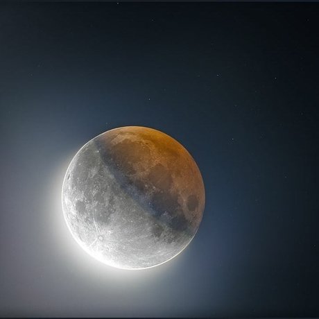 Eon アートモデル 写真