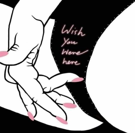 Xoxo HDモデル 画像