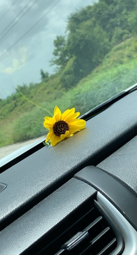 Let s talk_ ホットなスター 写真