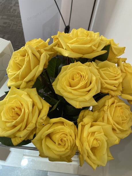 LittleToes ポルノスター ヌード 画像