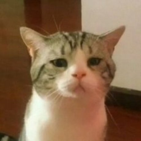 Yatara ポルノスター xxx 写真